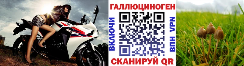 Галлюциногенные грибы Psilocybine cubensis kraken tor Старая Русса