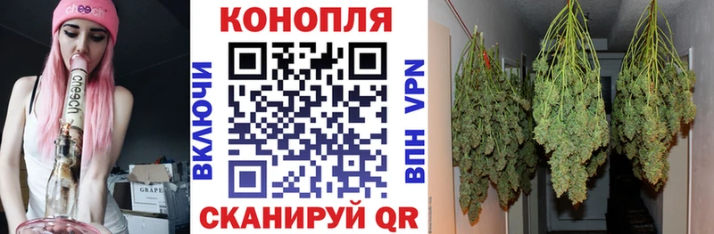 МАРИХУАНА ГИДРОПОН  ОМГ ОМГ ссылки  Старая Русса 